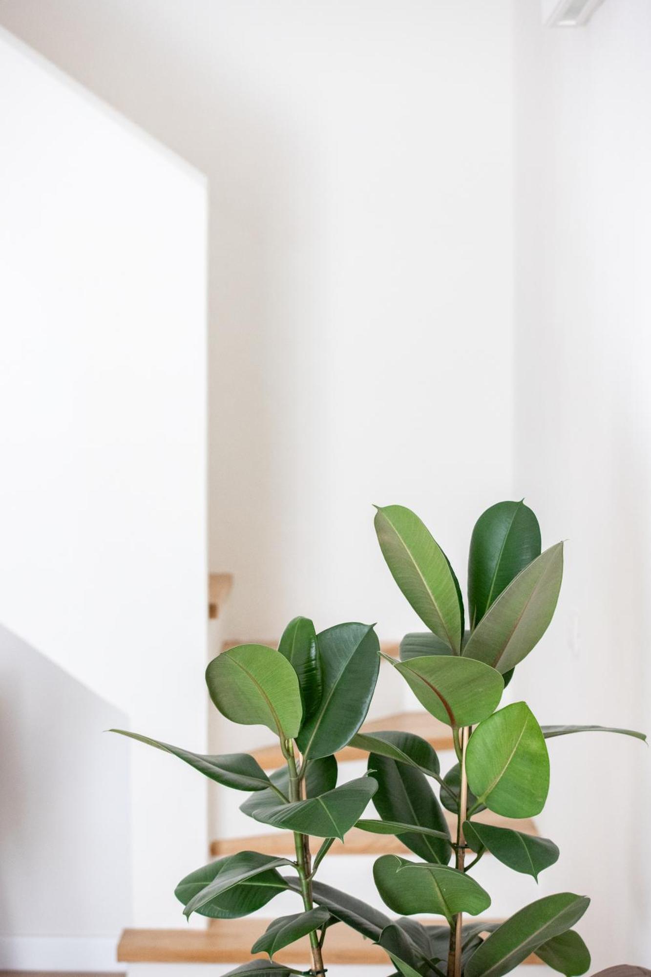 Santo Stefano Loft Aparthotel Bologna Eksteriør bilde