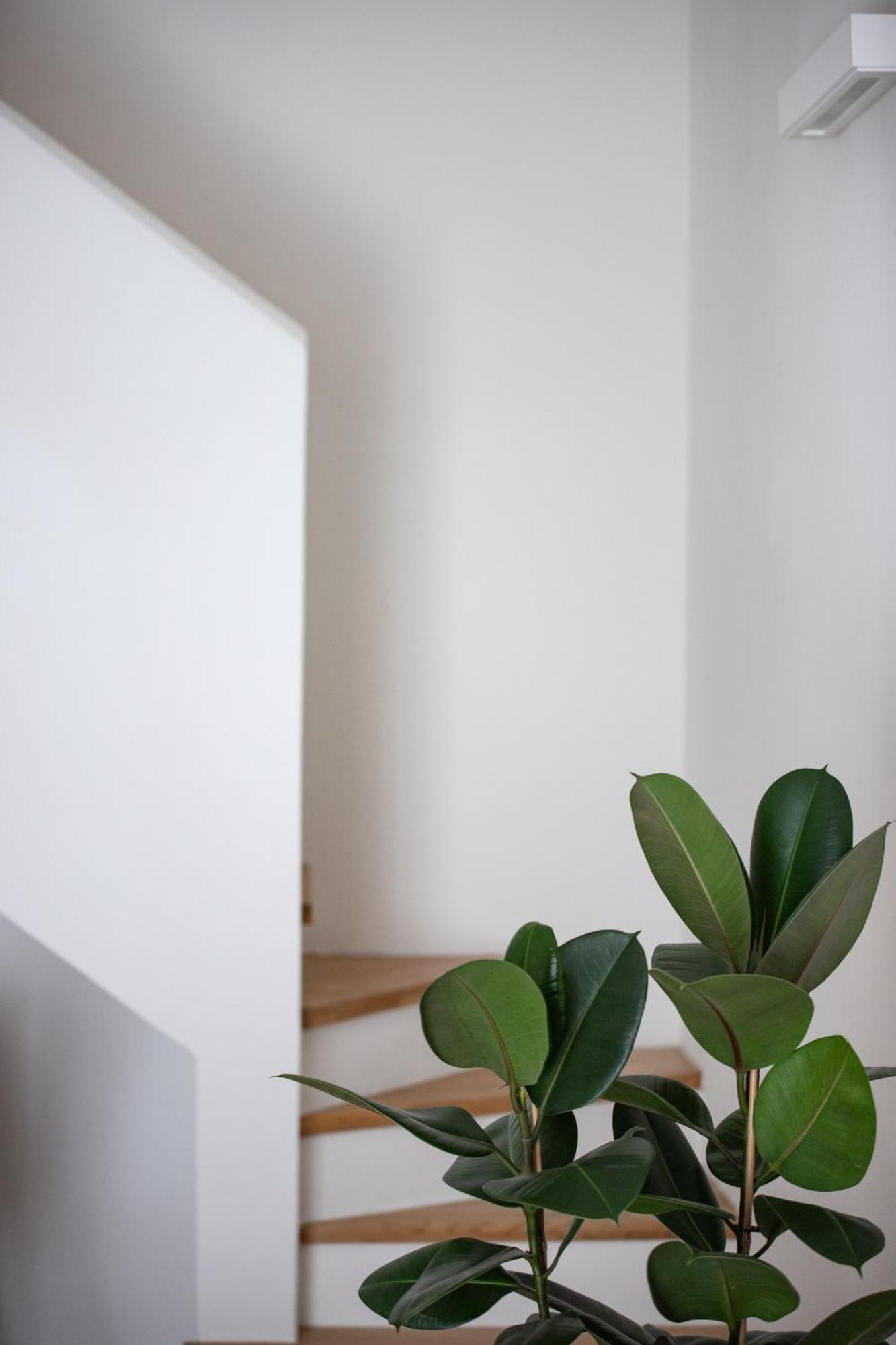Santo Stefano Loft Aparthotel Bologna Eksteriør bilde